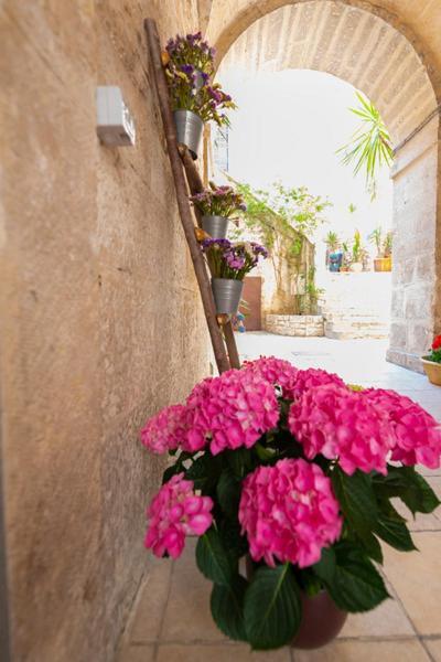 Il Saraceno Apartment Giovinazzo Zewnętrze zdjęcie